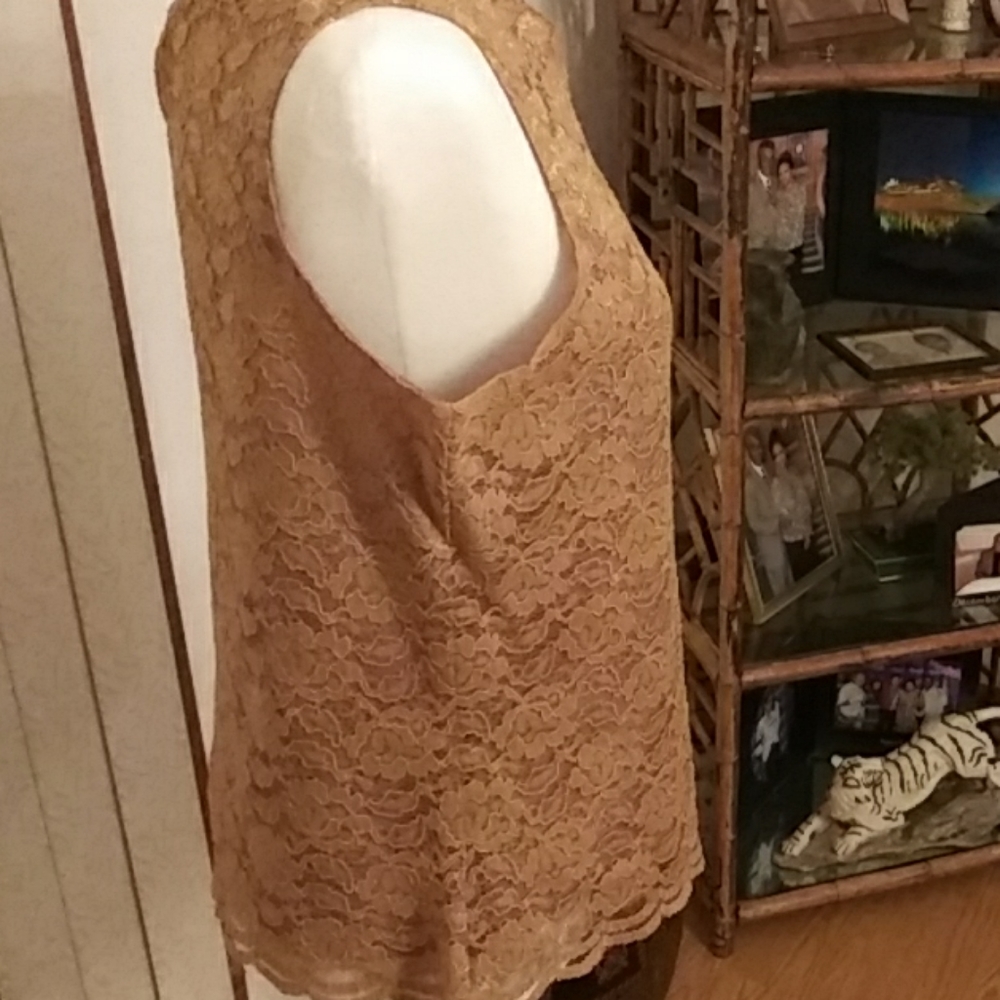 Ladies Lace Top - Picture 3 of 6